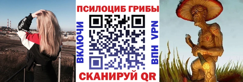Галлюциногенные грибы Magic Shrooms  Южно-Сухокумск 